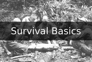 Survival Basics